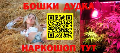 ешки Кингисепп