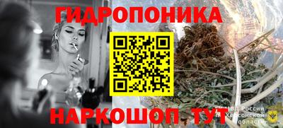 2c-b Кимры