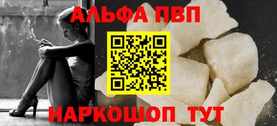ешки Кингисепп