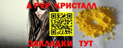 ешки Кингисепп
