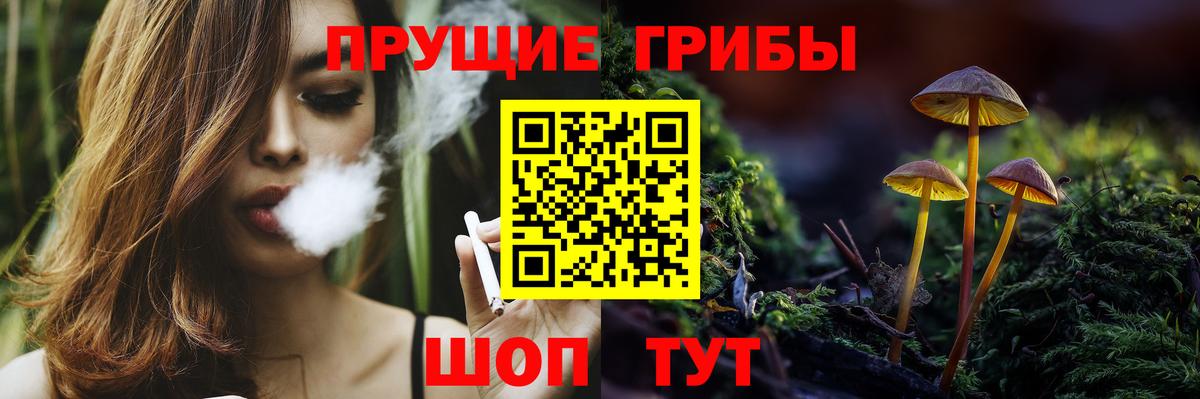 Псилоцибиновые грибы Cubensis Кирово-Чепецк